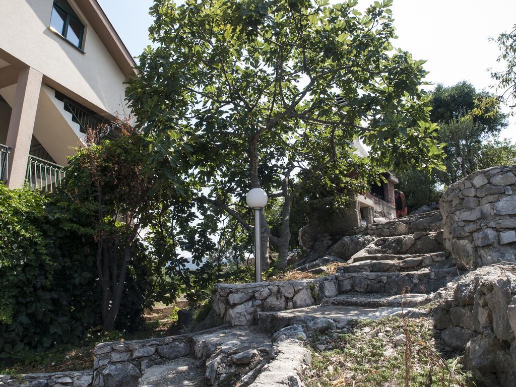 Apartment Cvijanovic プロチェ エクステリア 写真